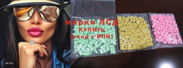 прущие грибы Алзамай