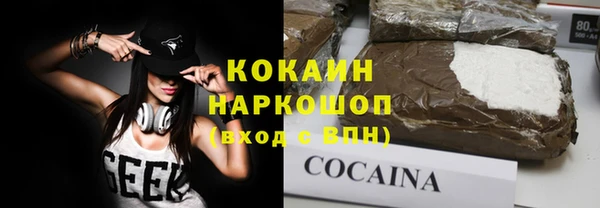 прущие грибы Алзамай