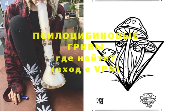 спиды Алексеевка