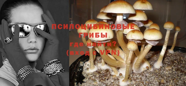 спиды Алексеевка