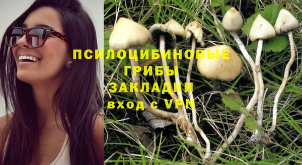 прущие грибы Алзамай